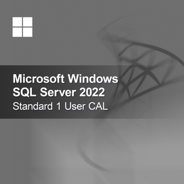 Microsoft SQL Server 2022 Standard 1 Bruger CAL