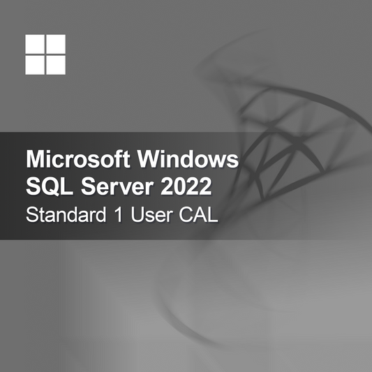 Microsoft SQL Server 2022 Standard 1 Bruger CAL