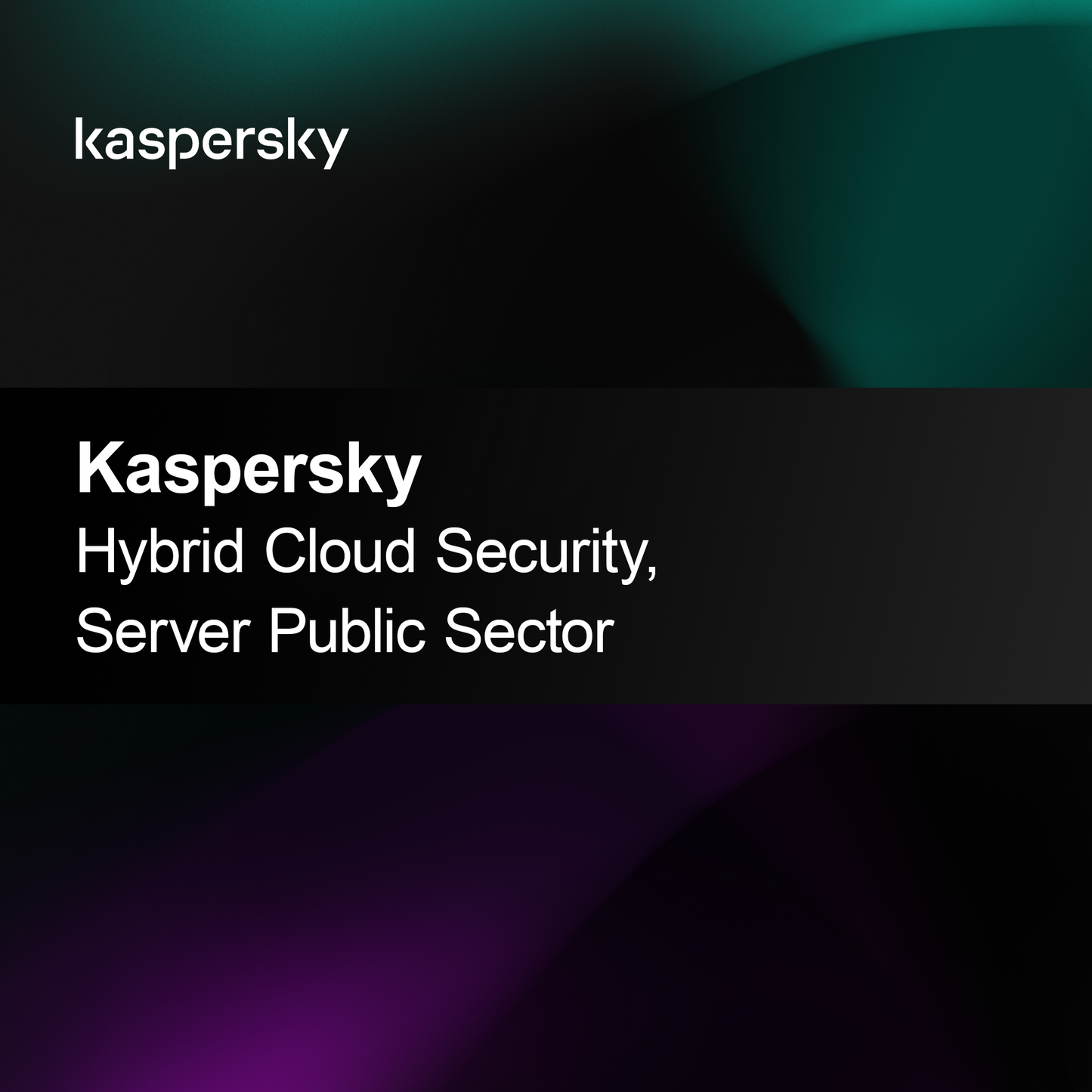 Kaspersky Hibrid Felhőbiztonság, Szerver Közszféra