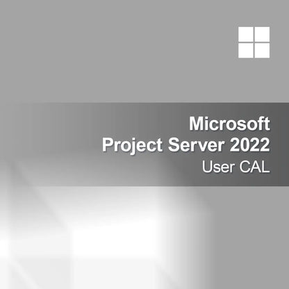 Microsoft Project Server 2022 Lisensi Pengguna CAL