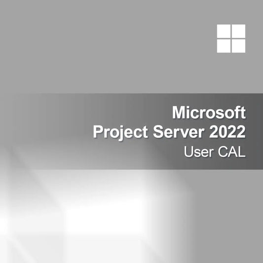 Microsoft Project Server 2022 Lisensi Pengguna CAL