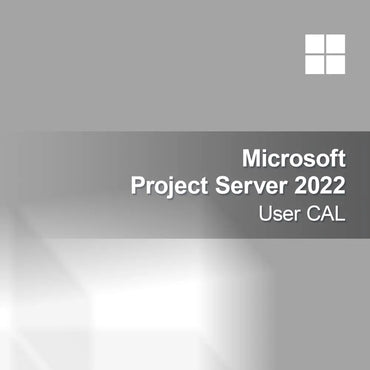 Microsoft Project Server 2022 Lisensi Pengguna CAL